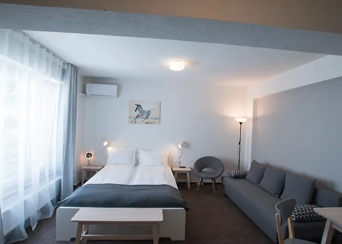 Victoriei Aparthotel Boekarest